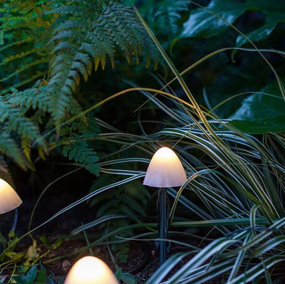 Delira Sfeerverlichting Paddenstoel Slingerlicht