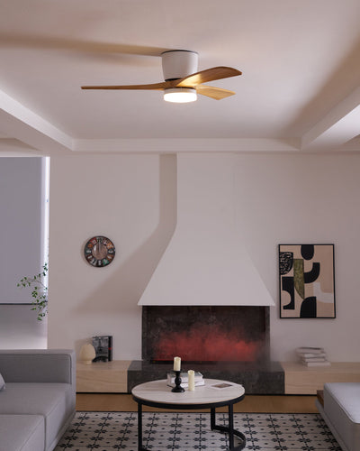 Delira Plafondventilator Licht Houtdesign Stil