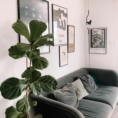 Delira Hanglamp Met Metalen Koord