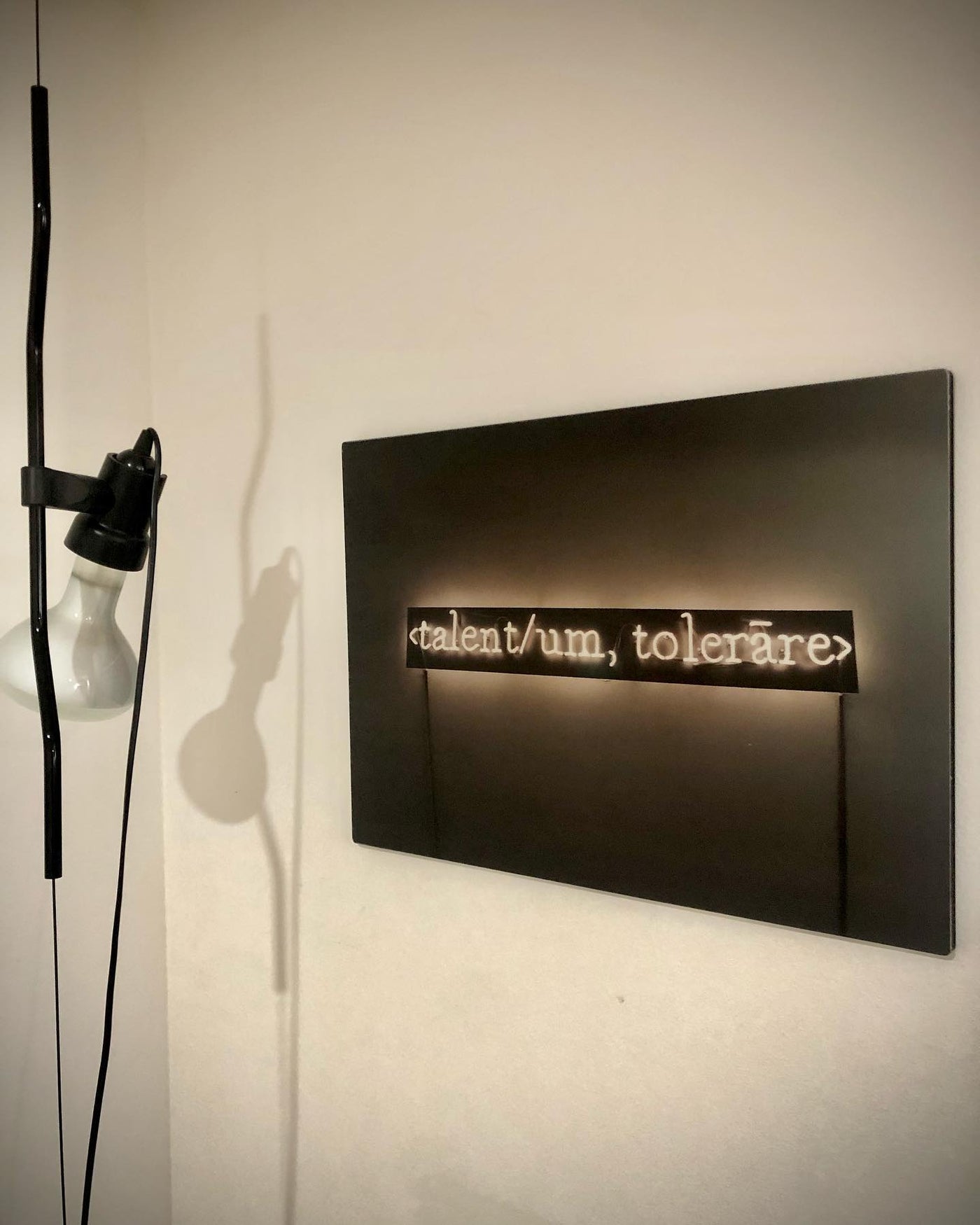 Delira Hanglamp Met Metalen Koord