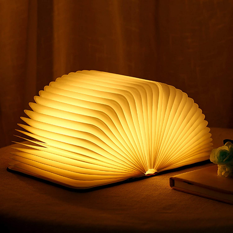 Delira Tafellamp Open Boek Design