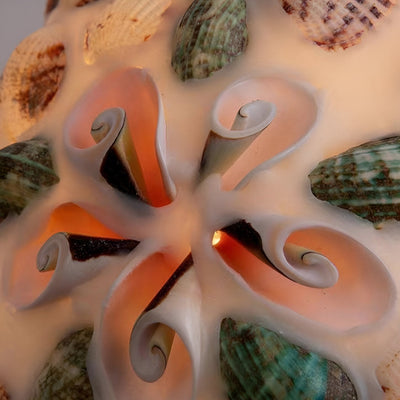 Delira Hanglamp Met Schelp En Messing