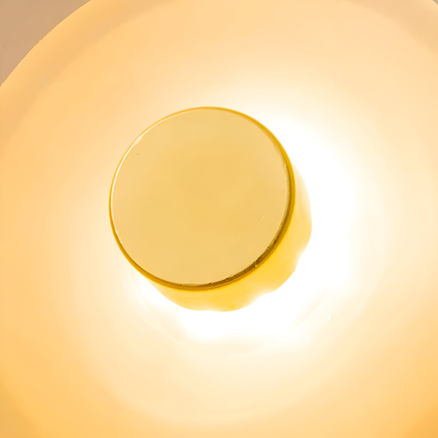Delira Wandlamp Moderne Eenvoud