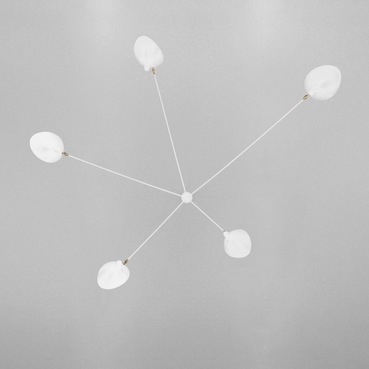 Delira Plafondlamp Sculpturaal Design