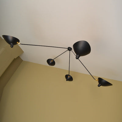 Delira Plafondlamp Sculpturaal Design
