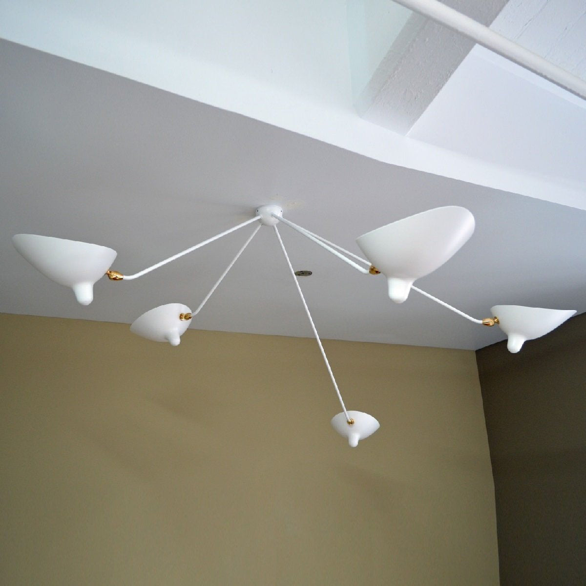 Delira Plafondlamp Sculpturaal Design