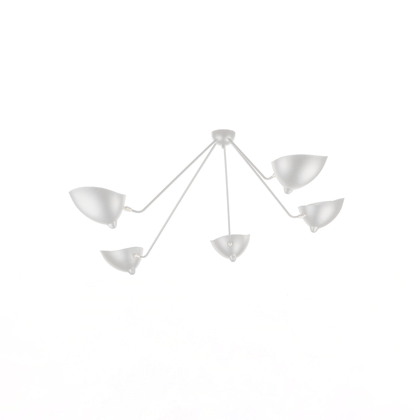 Delira Plafondlamp Sculpturaal Design