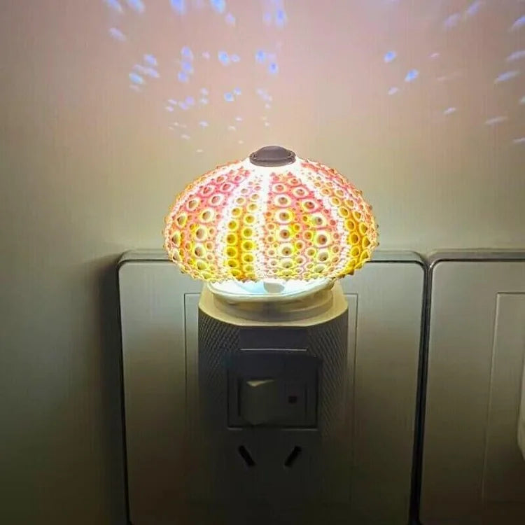 Delira DIY Nachtlampje Zee-egel