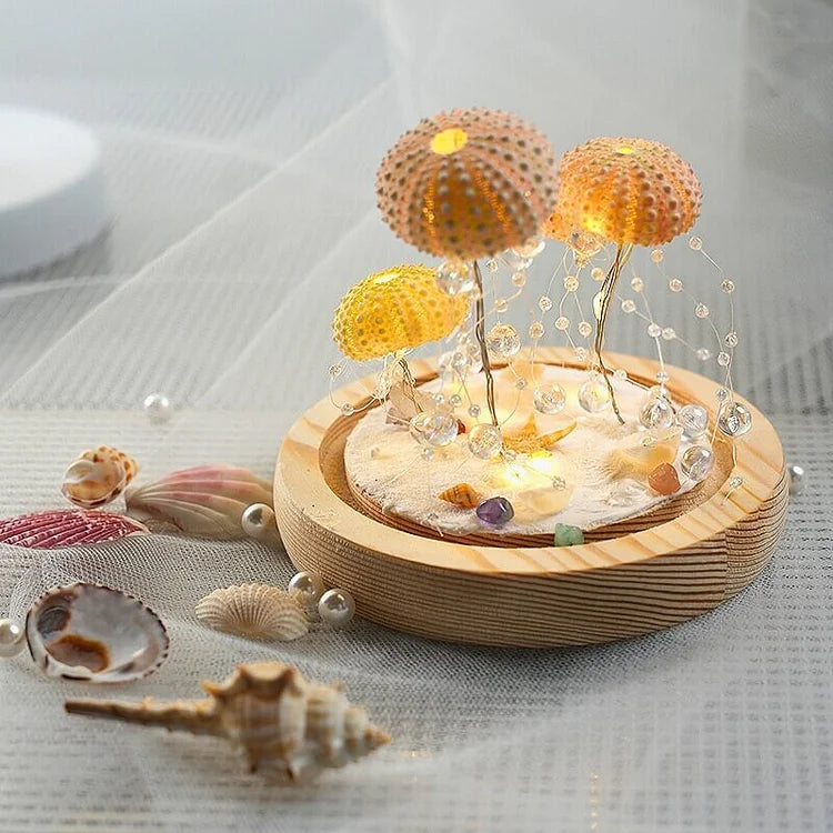 Delira DIY Nachtlampje Zee-egel