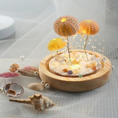 Delira DIY Nachtlampje Zee-egel