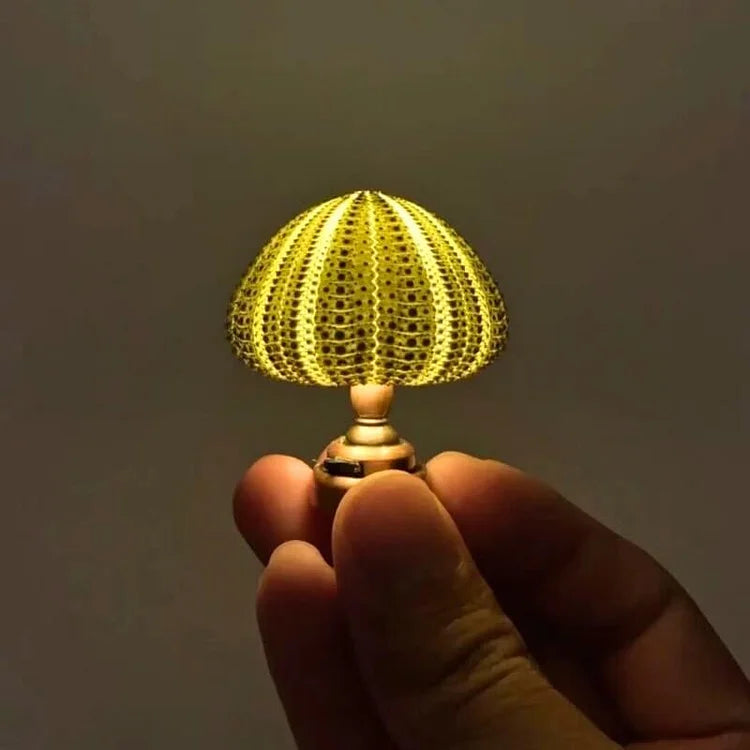 Delira DIY Nachtlampje Zee-egel