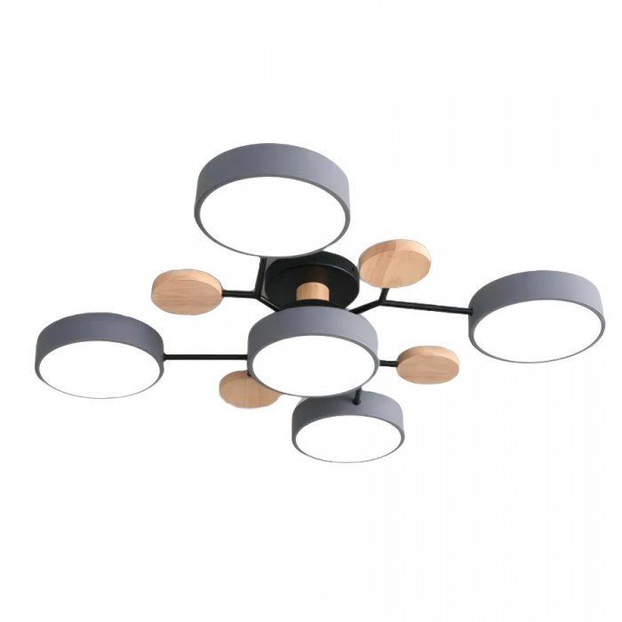 Delira Plafondlamp Skandi Vertakt Design